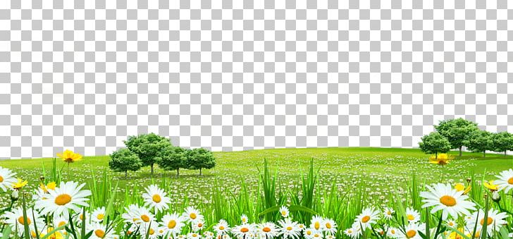 Lawn Flower PNG, Clipart, Big Tree, Border, Border Texture, Computer Wallpaper, Desktop Wallpaper Free PNG Download