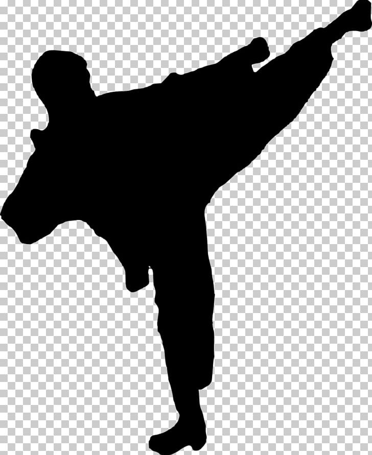 Silhouette Karate Martial Arts PNG, Clipart, Black And White, Decal, Karate, Kick, Martial Arts Free PNG Download