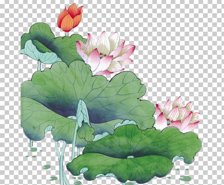 Static Variable PNG, Clipart, Annual Plant, Aquatic Plant, Chinese Painting, Class, Flower Free PNG Download