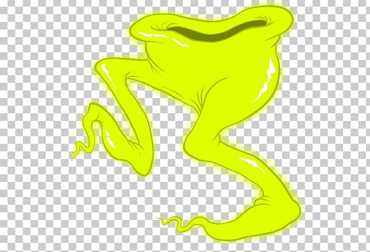 Tree Frog Toad PNG, Clipart, Amphibian, Animals, Frog, Green, Line Free PNG Download