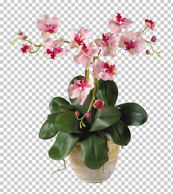 Moth Orchids Artificial Flower Plant Stem PNG, Clipart, Aerial Root, Artificial Flower, Arumlily, Boat Orchid, Cut Flowers Free PNG Download