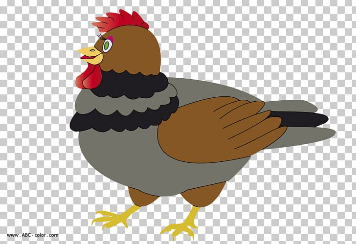Rooster Chicken Drawing PNG, Clipart, Animals, Beak, Bird, Cartoon, Chicken Free PNG Download
