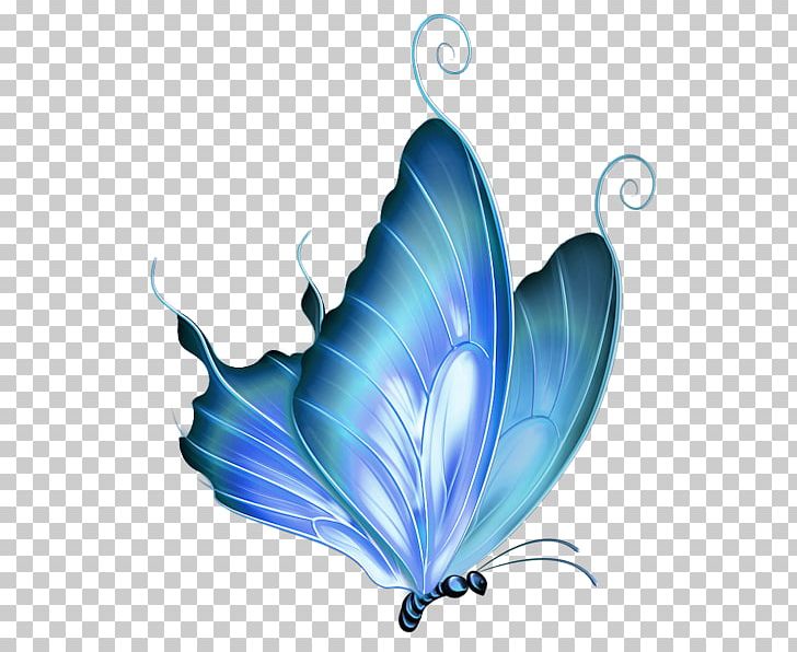 Butterfly Drawing PNG, Clipart, Arthropod, Butterflies And Moths, Butterfly, Desktop Wallpaper, Drawing Free PNG Download