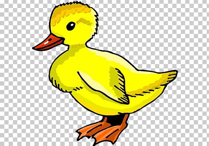 Duck Desktop PNG, Clipart, Animals, Artwork, Beak, Bird, Desktop Wallpaper Free PNG Download