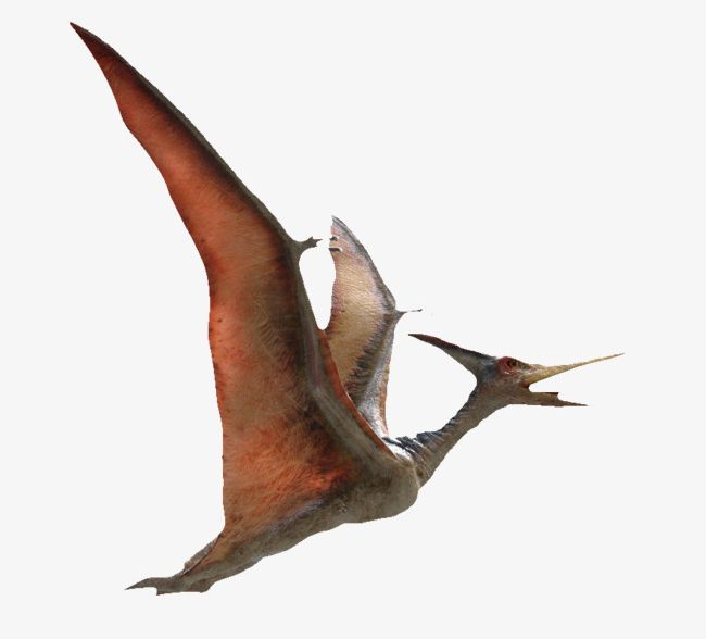 flying dinosaur carnivore clipart