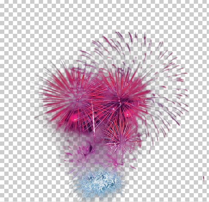 Adobe Fireworks Festival PNG, Clipart, Adobe Fireworks, Background Effects, Designer, Effect, Effect Element Free PNG Download