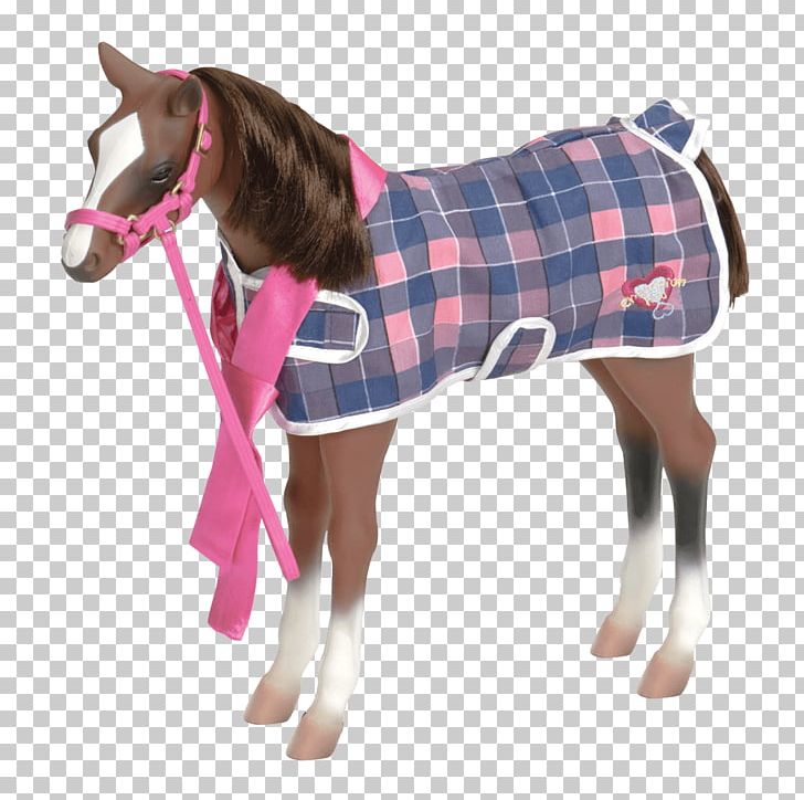 American Quarter Horse Fjord Horse Arabian Horse Foal American Paint Horse PNG, Clipart, American Paint Horse, American Quarter Horse, Arabian Horse, Bridle, Doll Free PNG Download