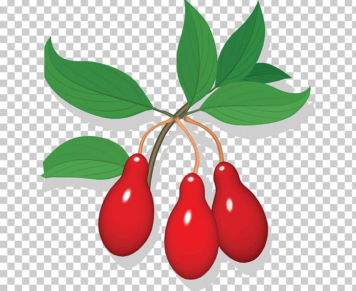 Cherry Fruit Auglis PNG, Clipart, Auglis, Berry, Blueberry, Cherry, Drawing Free PNG Download