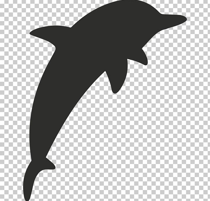 Tucuxi Sticker Common Bottlenose Dolphin Wall Decal Paper PNG, Clipart, Adhesive, Animals, Black And White, Bottlenose Dolphin, Common Bottlenose Dolphin Free PNG Download