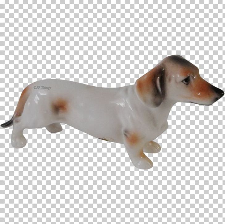 Dog Breed Puppy Companion Dog Snout PNG, Clipart, Animals, Breed, Carnivoran, Companion Dog, Dog Free PNG Download