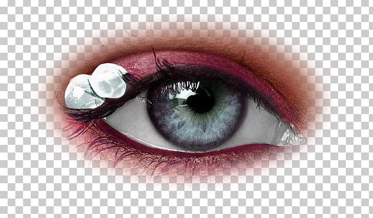 Human Eye Face Cosmetics Iris PNG, Clipart, Bisou, Closeup, Closeup, Coeur, Cosmetics Free PNG Download