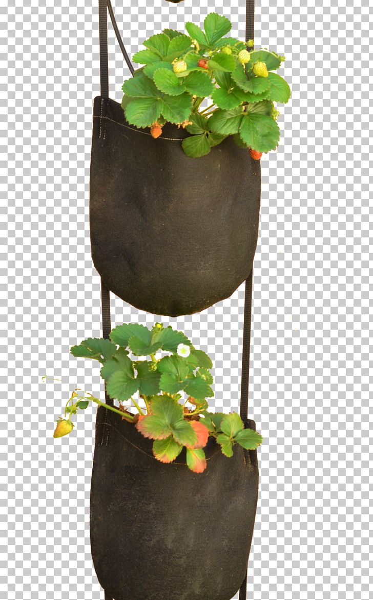 Plastic Bag Plant Flowerpot GeoPot PNG, Clipart, Bag, Container, Felt, Flower, Flowerpot Free PNG Download