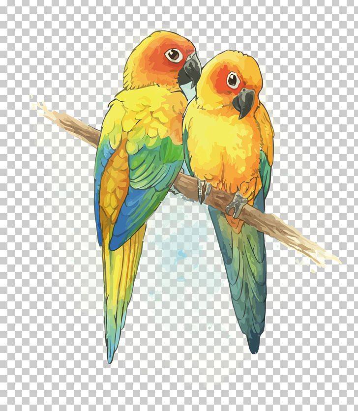 Budgerigar Lovebird Parrot Lories And Lorikeets PNG, Clipart, Animals, Beak, Bird, Common Pet Parakeet, Fauna Free PNG Download
