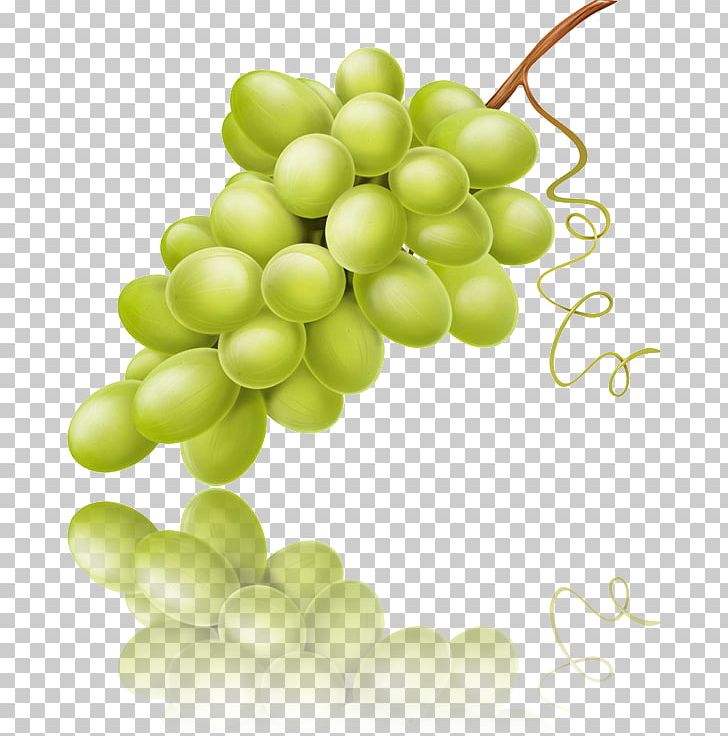 Sultana Seedless Fruit Grape Seed Extract Verjuice PNG, Clipart, Food, Fruit, Fruit Nut, Grape, Grape Seed Extract Free PNG Download