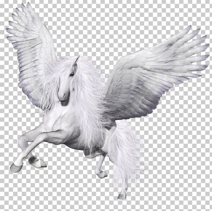 Winged Unicorn Pegasus Horse Pillow PNG, Clipart, Beak, Bird, Bird Of Prey, Black And White, Blue Free PNG Download