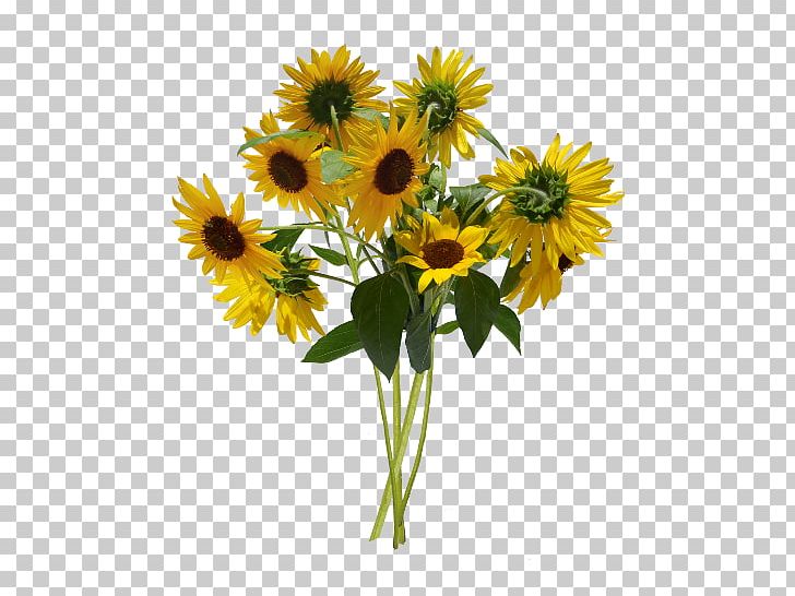 Common Sunflower Flower Bouquet Cut Flowers Floral Design PNG, Clipart, Bouquet, Bts, Common Sunflower, Cut Flowers, Daisy Family Free PNG Download