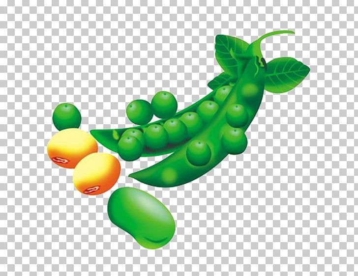 Snow Pea Edamame Lima Bean PNG, Clipart, Bean, Beans, Broad Bean, Computer Wallpaper, Download Free PNG Download