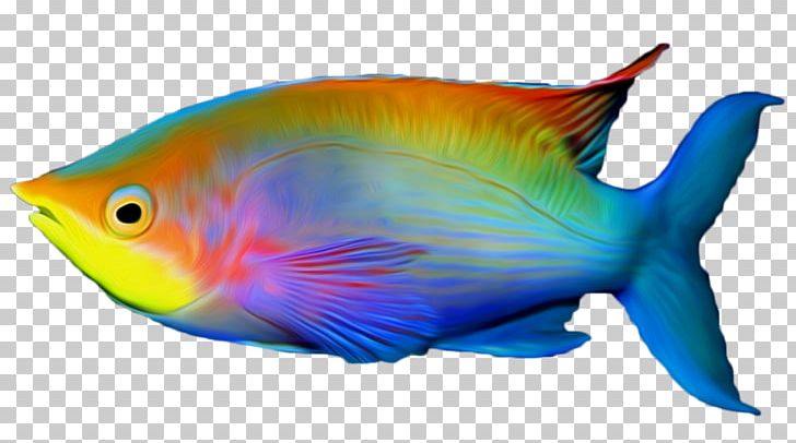 Tropical Fish PNG, Clipart, Adobe Fireworks, Animals, Aquarium, Computer Icons, Coral Reef Fish Free PNG Download