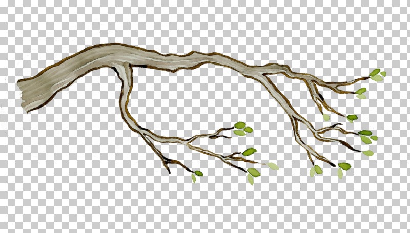 Branch Twig Tree Leaf Plant PNG, Clipart, Branch, Leaf, Paint, Plant, Plant Stem Free PNG Download