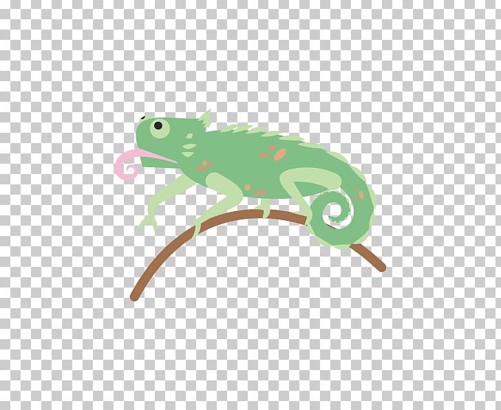 Frog Amphibian Reptile Chameleons Lizard PNG, Clipart, Amphibian, Animal, Animals, Cartoon, Chameleon Free PNG Download