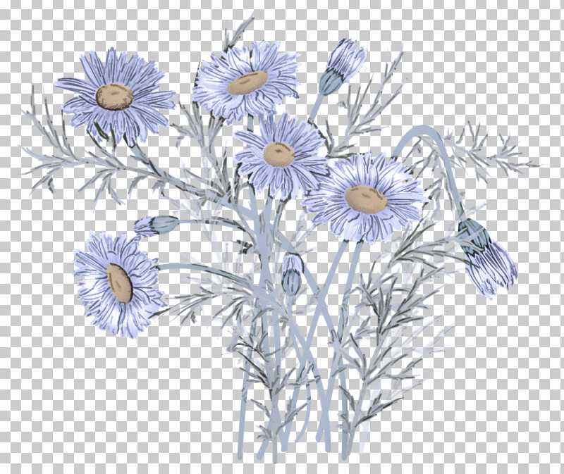Daisy PNG, Clipart, Aster, Camomile, Chamomile, China Aster, Daisy Free PNG Download