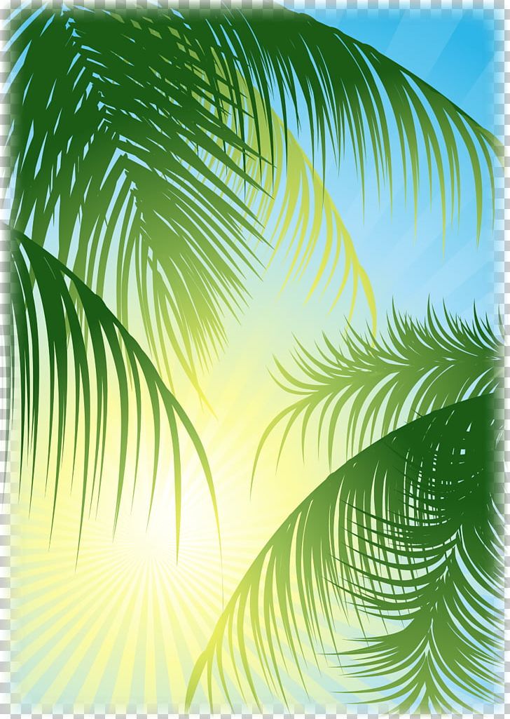 Arecaceae Coconut Water Leaf PNG, Clipart, Arecaceae, Arecales, Coconut, Coconut Water, Computer Wallpaper Free PNG Download