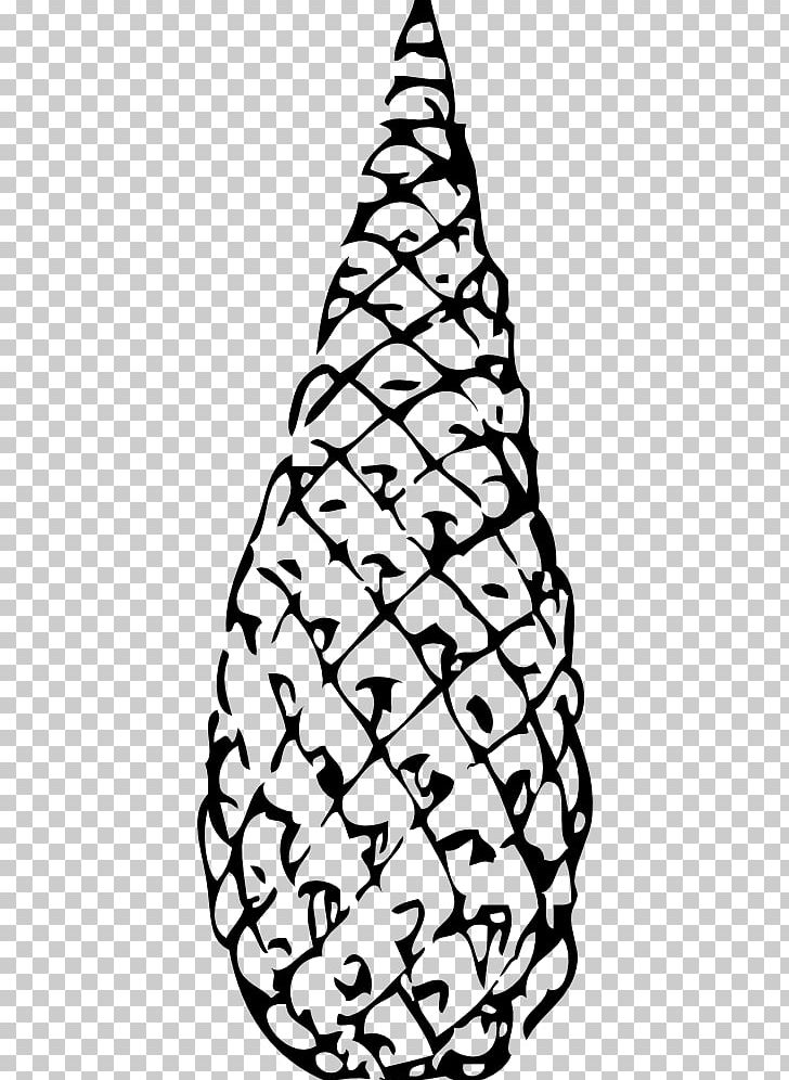 Conifer Cone Pine Conifers PNG, Clipart, Black And White, Christmas Decoration, Christmas Tree, Color, Coloring Book Free PNG Download