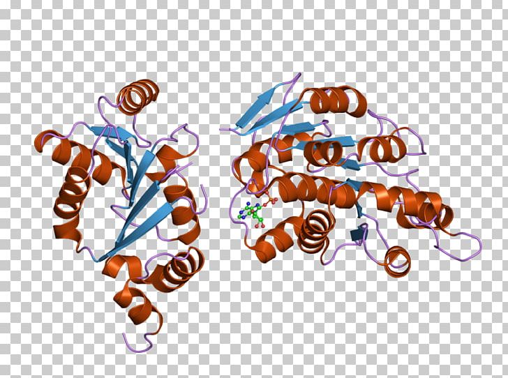 DDX3Y DDX3X DEAD Box Helicase Enzyme PNG, Clipart, 2 I, Adenosine Triphosphate, Conserved Sequence, Crystal Structure, Ddx3x Free PNG Download