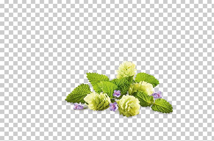 Floral Design Cut Flowers Herbaceous Plant Hydrangea PNG, Clipart, Cut Flowers, Deko, Floral Design, Flower, Flower Arranging Free PNG Download