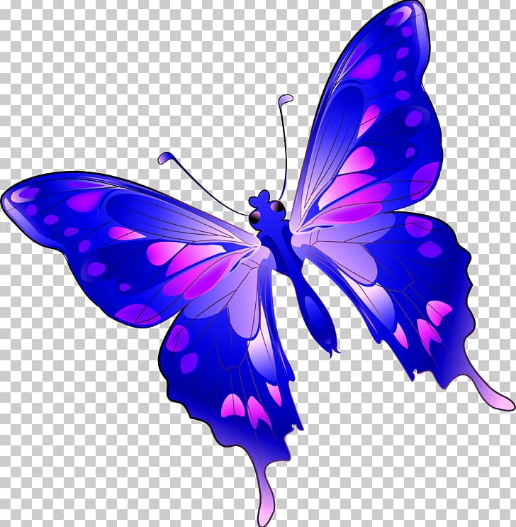 Monarch Butterfly Drawing PNG, Clipart, Animation, Art, Brush Footed Butterfly, Butte, Butterflies And Moths Free PNG Download