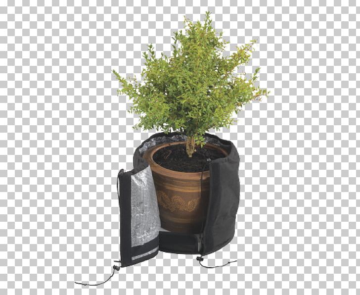 Flowerpot Tree Houseplant Herb PNG, Clipart, Flowerpot, Herb, Houseplant, Nature, Plant Free PNG Download