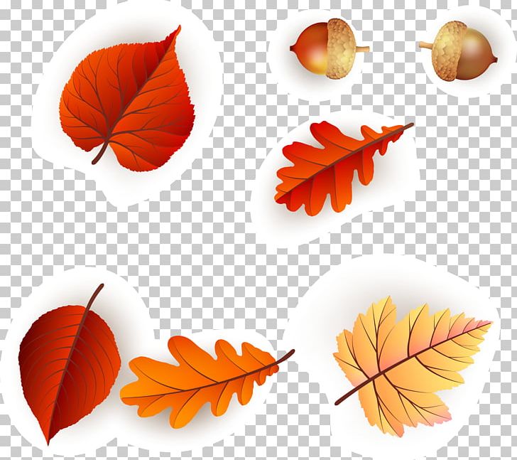 Leaf Orange PNG, Clipart, Beautiful, Beauty Salon, Bright, Color Splash, Continental Free PNG Download