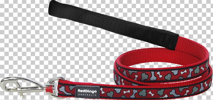 Leash Dingo Border Collie Yorkshire Terrier Beagle PNG, Clipart, Beagle, Border Collie, Collar, Dingo, Dog Free PNG Download