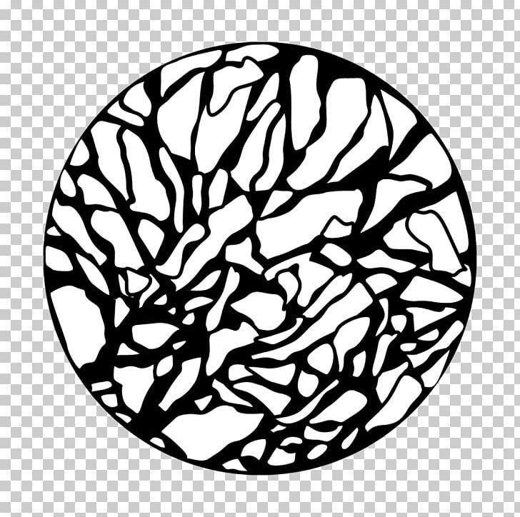 Pattern Steel Apollo Flower PNG, Clipart, Apollo, Black, Black And White, Branch, Circle Free PNG Download