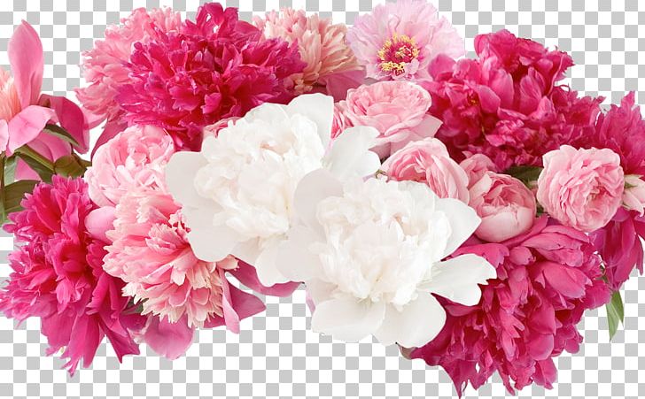 Peony Floral Design Flower Photography PNG, Clipart, Annual Plant, Artificial Flower, Blossom, Carnation, Cut Flowers Free PNG Download