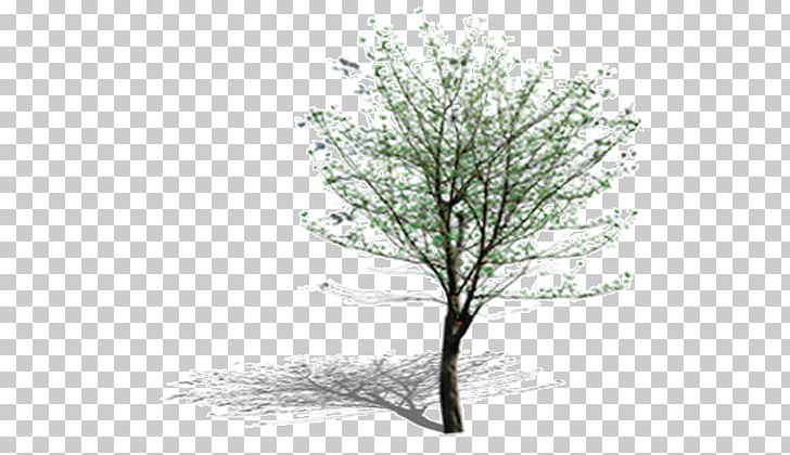 Tree Leaf Computer Pattern PNG, Clipart, Autumn Tree, Background, Branch, Branches, Christmas Tree Free PNG Download