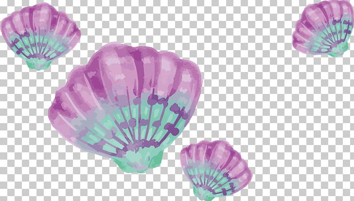 Watercolor Painting Drawing PNG, Clipart, Beautiful Shells, Encapsulated Postscript, Hand Painted Shells, Nature, Peta Free PNG Download
