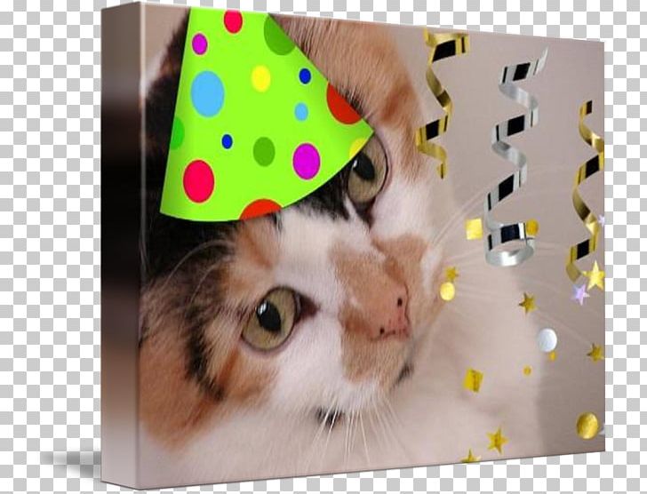 Cat Whiskers Paper Kitten Birthday PNG, Clipart, Animals, Birthday, Calico, Calico Cat, Carnivoran Free PNG Download