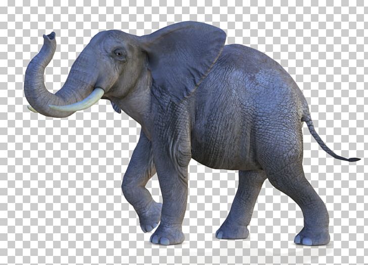African Bush Elephant Asian Elephant African Forest Elephant PNG, Clipart, African, African Bush Elephant, African Forest Elephant, Animal Figure, Animals Free PNG Download