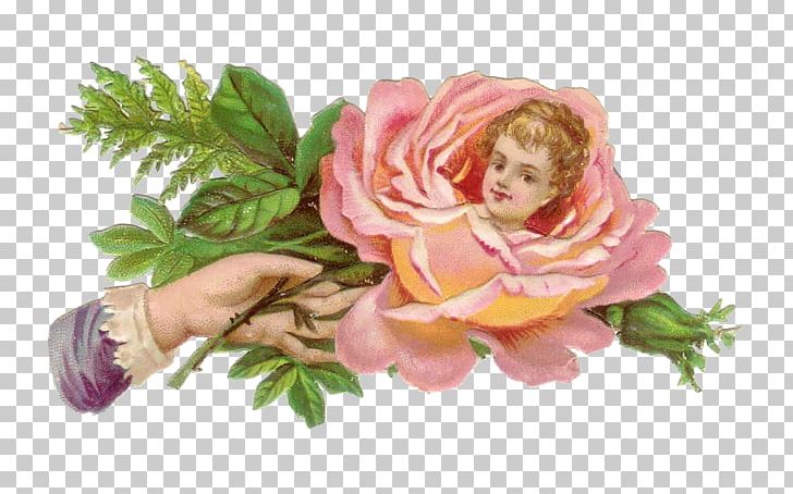 Flower Rose Hand PNG, Clipart, Artificial Flower, Cut Flowers, Floral Design, Floristry, Flower Free PNG Download