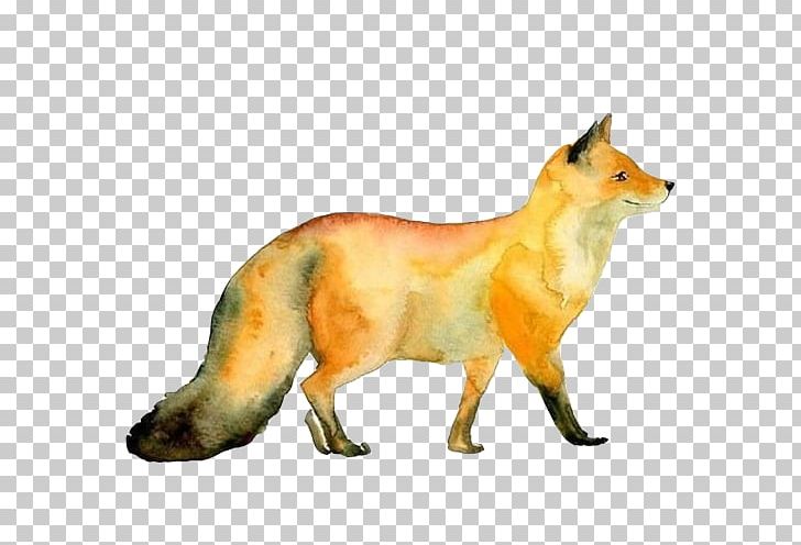 Red Fox Watercolor Painting Paper PNG, Clipart, Animal, Animals, Carnivoran, Color, Dog Like Mammal Free PNG Download