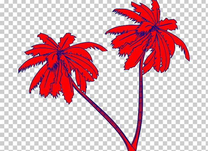 Arecaceae PNG, Clipart, Animation, Arecaceae, Coconut, Computer Icons, Cut Flowers Free PNG Download