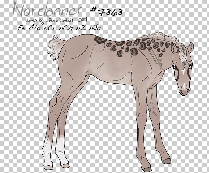 Mule Foal Stallion Colt Mare PNG, Clipart, Animal Figure, Bridle, Cartoon, Colt, Fauna Free PNG Download
