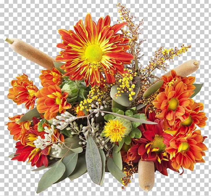 Transvaal Daisy Floral Design Cut Flowers Chrysanthemum Flower Bouquet PNG, Clipart, Chrysanthemum, Chrysanths, Cut Flowers, Daisy Family, Floral Design Free PNG Download