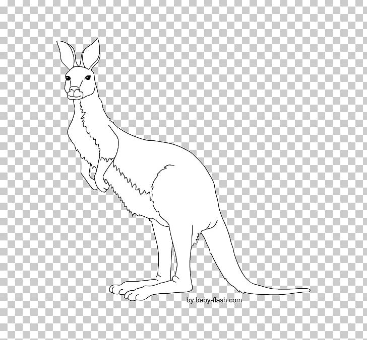Kangaroo Red Fox Macropodidae Hare Animal PNG, Clipart, Animal, Animal Figure, Animals, Artwork, Black And White Free PNG Download