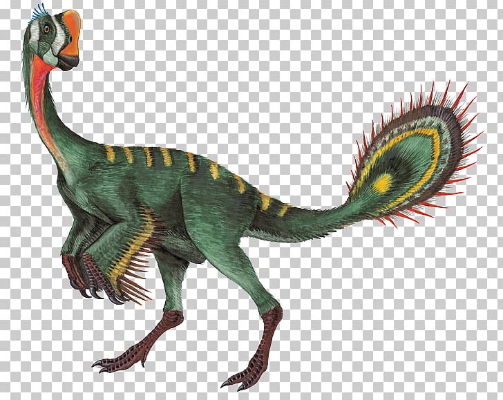 Nomingia Oviraptor Gigantoraptor Chirostenotes Conchoraptor PNG, Clipart, Animal Figure, Caenagnathidae, Chirostenotes, Conchoraptor, Dinosaur Free PNG Download