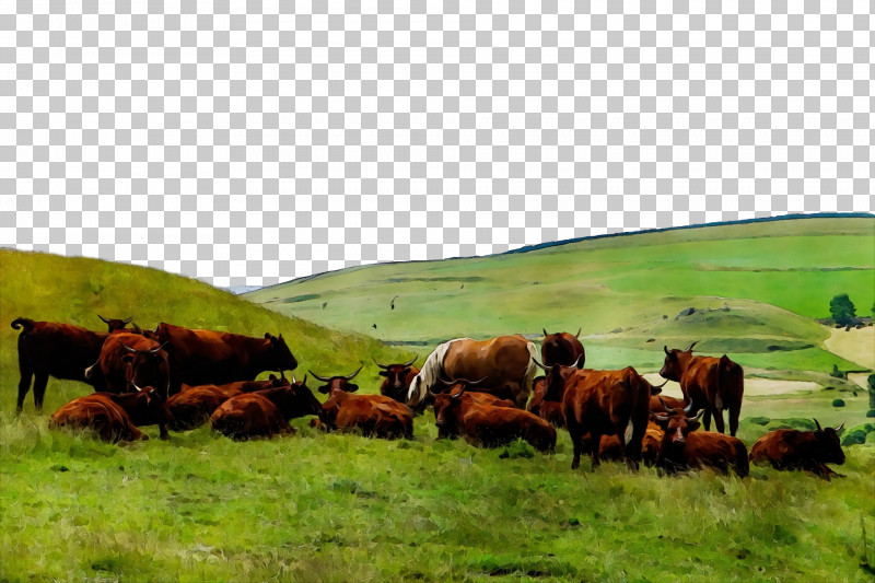 Steppe Grassland Grazing Farm Rural Area PNG, Clipart, Ecoregion, Farm, Grassland, Grazing, Herd Free PNG Download