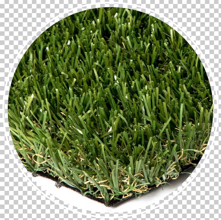 Artificial Turf Lawn Tile Natural Rubber Brick PNG, Clipart, Artificial Turf, Bentgrass, Brick, Building, Contractor Free PNG Download