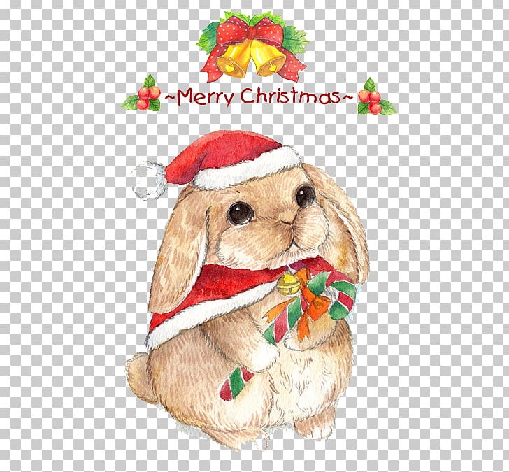 Christmas Eve Rabbit Cuteness PNG, Clipart, Animals, Balloon Cartoon, Boy Cartoon, Cartoon, Cartoon Character Free PNG Download