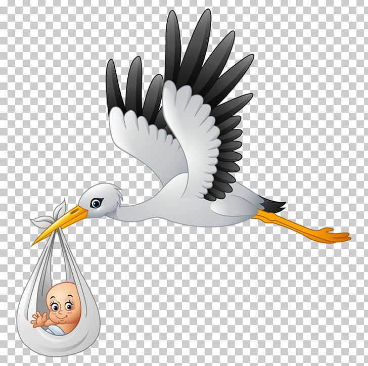 Stork PNG, Clipart, Animals, Beak, Bird, Cartoon, Ciconiiformes Free PNG Download